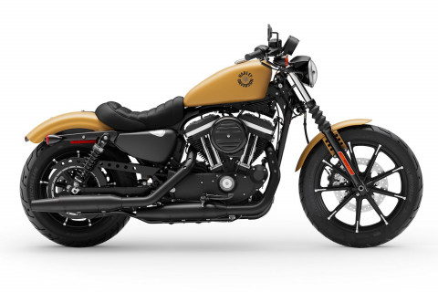 Harley Davidson Iron 883 